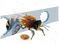 Fig 1 Illustration of Varroa-Gate
A bee passes through a hole in the polymatrix carrier. The active ingredient (blue) is transferred to the integument of the bee and eliminates a phoretic mite.