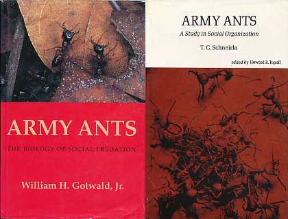 Left photo: Gotwald, W.H. Jr. (1995) Army ants: The biology of social predation. Cornell University Press, Ithaca, N.Y. - right photo: Schneirla, T.C. (1971) Army Ants: A Study in Social Organization. San Francisco: W. H. Freeman and Company.