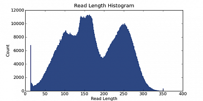 Ion Torrent - different stingless bee RESTseq run on a 316 chip. This is an example of a bad run. The library was overamplified and this resulted in a bad quality (abrupted, <130bp) of many reads (targeted fragment size 130-180) and concatemers (larger than 200bp). Especially the concatemers cannot be used for analysis, yet they occupy a large fraction of the chip's capacity. Options to circumvent this problem is a reduction of the cyclenumer used for amplification of the library (<8-10) (e.g. by starting with more material), or to do the (or an additional) sizeselection step after the PCR (works well in our experiments).