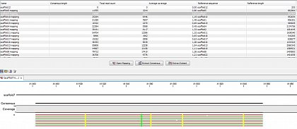 Ion Torrent - stingless bee RESTseq run on a 316 chip - mapping on a reference genome of a related species.