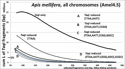 Apis mellifera (32.7% GC, <10% TE's), RESTseq example, cumulative length of remaining fragments in relation to selected fragment size and after reduction with different RE's, based on whole genome in silico analysis (Amel4.5, all 16 chr)