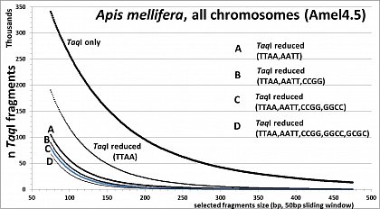 Apis mellifera (32.7% GC, <10% TE's), RESTseq example, fragment number in relation to selected fragment size and after reduction with different RE's, based on whole genome in silico analysis (Amel4.5, all 16 chr)