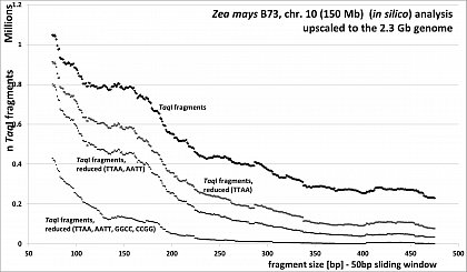 Zea mays (46.8% GC, ca 80% TE's), RESTseq example, fragment number in relation to selected fragment size and after reduction with different RE's, based on 150Mb chr 10, upscaled to the 2.3Gb genome